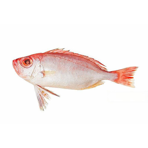 Seafood